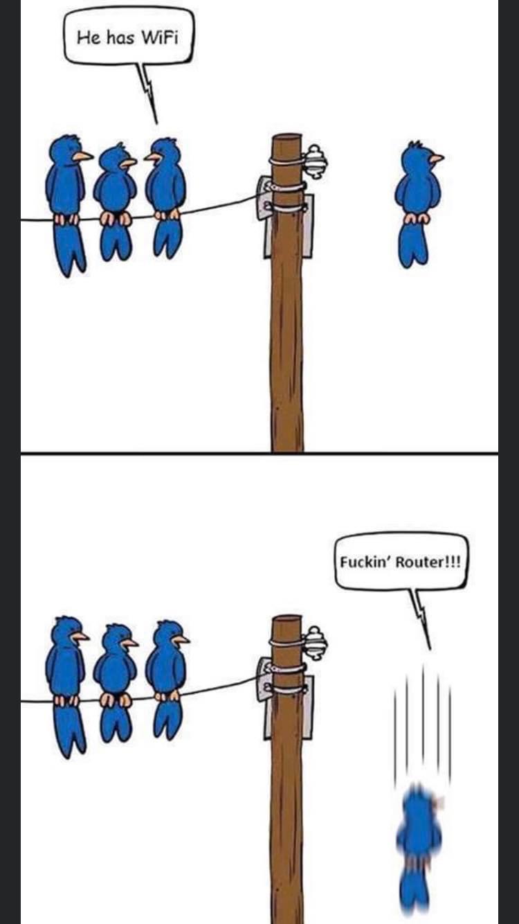 wifi