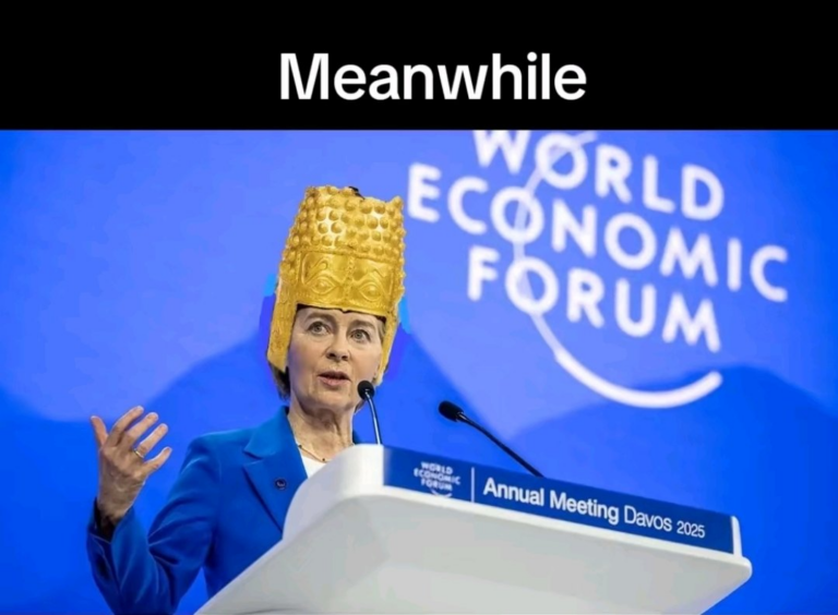meanwhile