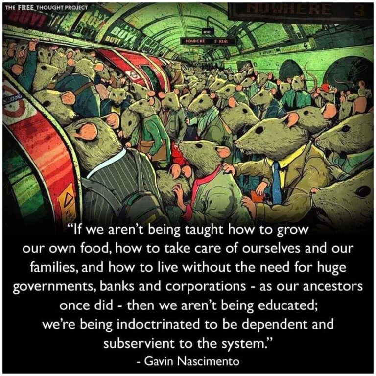 indoctrinated