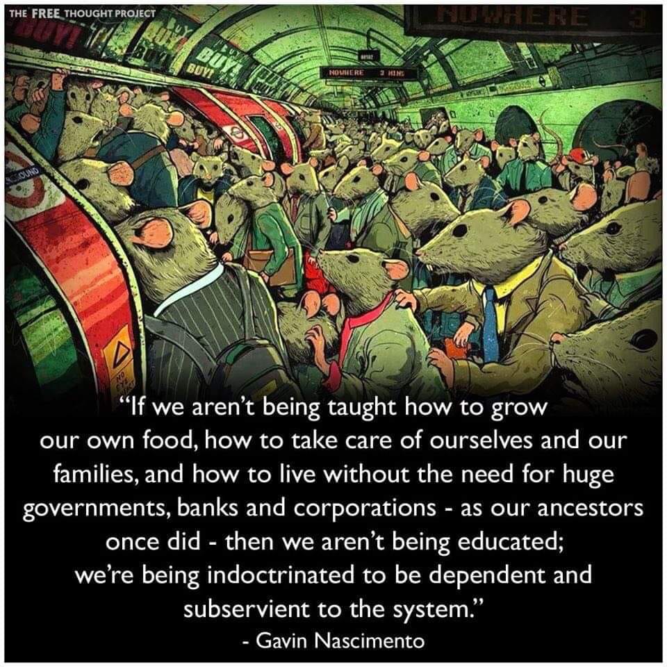 indoctrinated